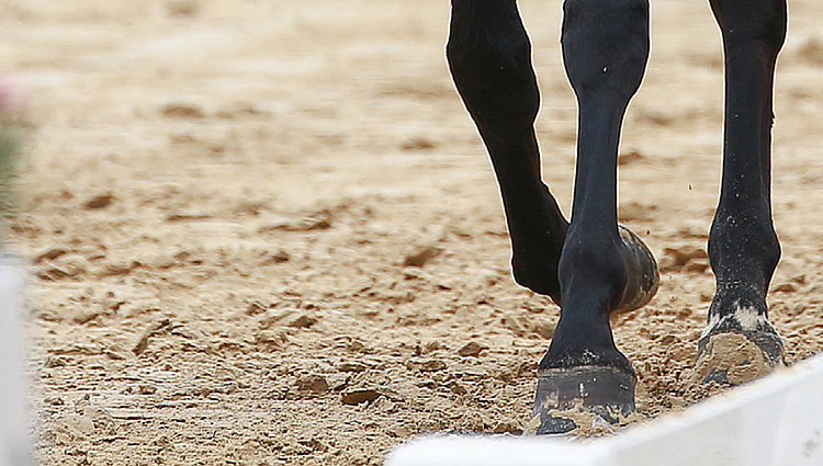 riding arena controls